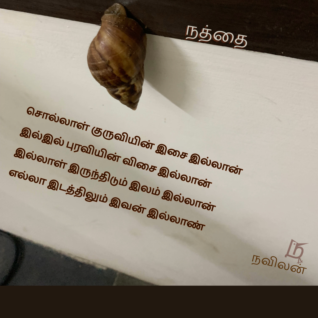 நத்தை - நவிலன்